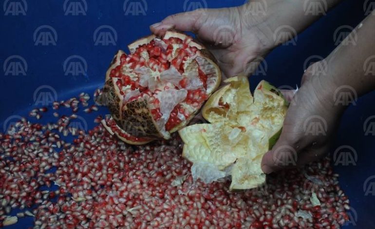 FOTOT/ Njihuni me qilimin tradicional turk që shkëlqen nga lëkura e shegës