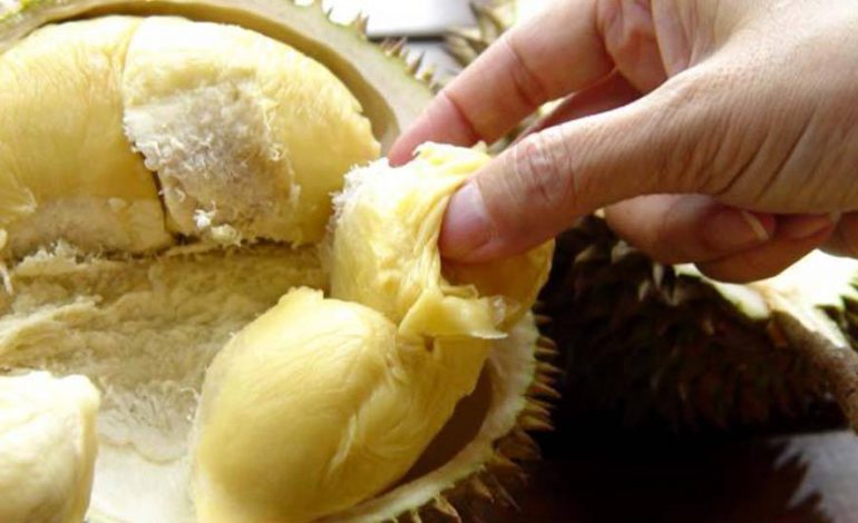 Ky është fruti më i pashijshëm në botë, a e keni shijuar? (Video)