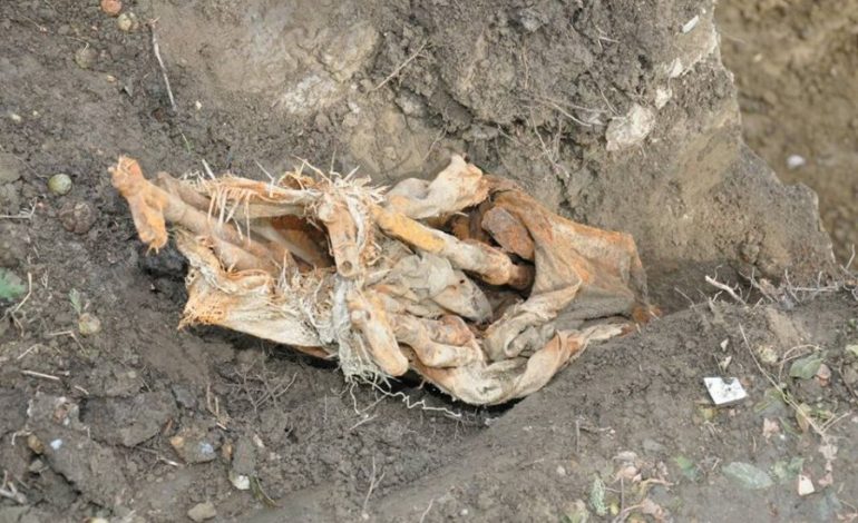 Elbasan, gjenden të groposur në parkun “Rinia” , 4 armë zjarri “Kallashnikov” (FOTO)