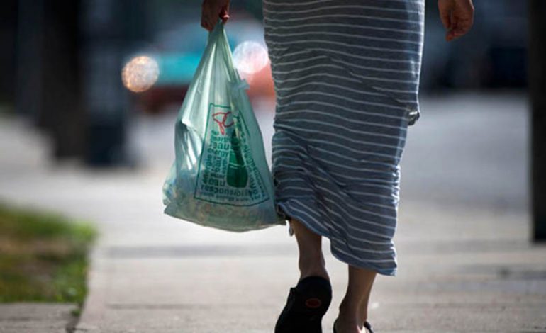 Bashkia Tiranë/ Nisma për heqjen e qeseve plastike në tregjet publike