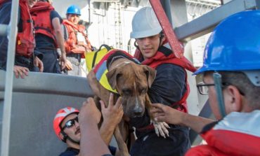 Humbasin në Paqësor, marinaret dhe qentë gjenden pas 5 muajsh