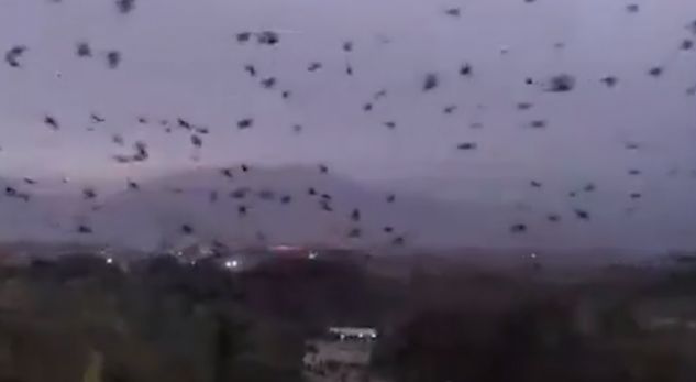 Sorrat e errësojnë qiellin mbi një qytet, ua fusin friken në palcë banorëve
