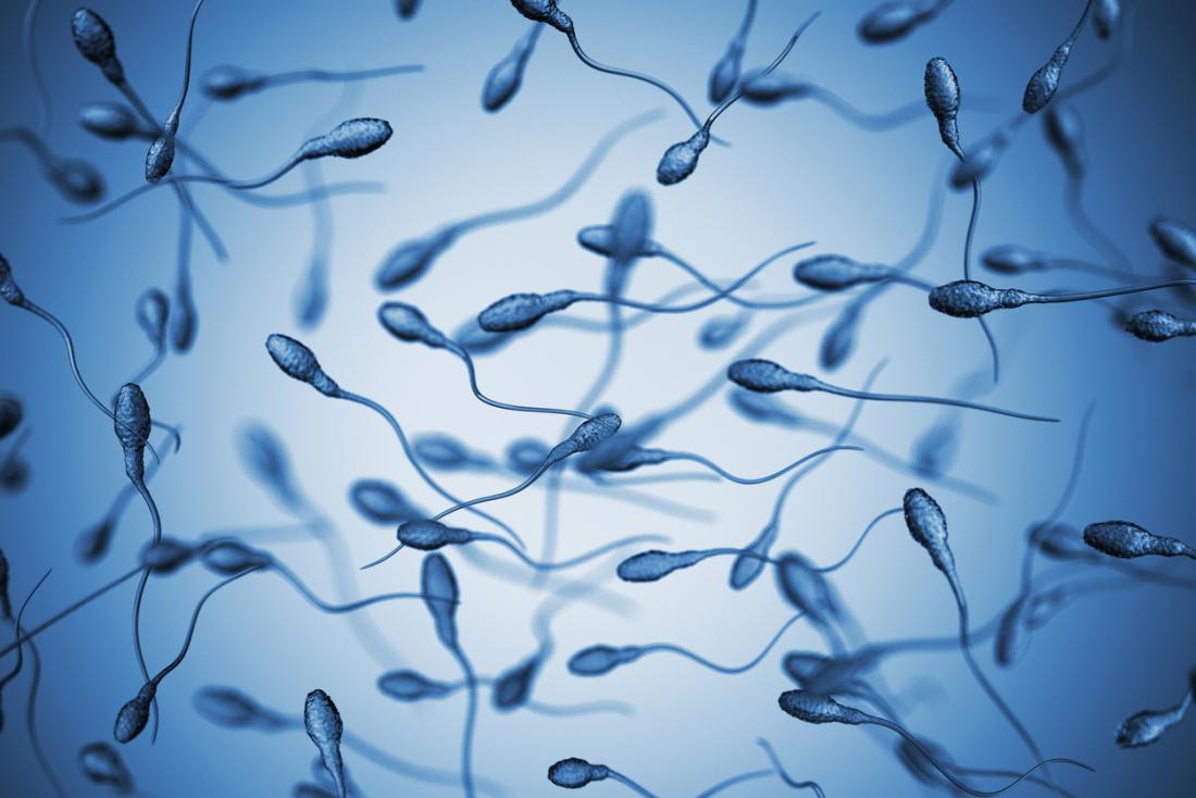 the avatar girl naked lifespan of sperm in air