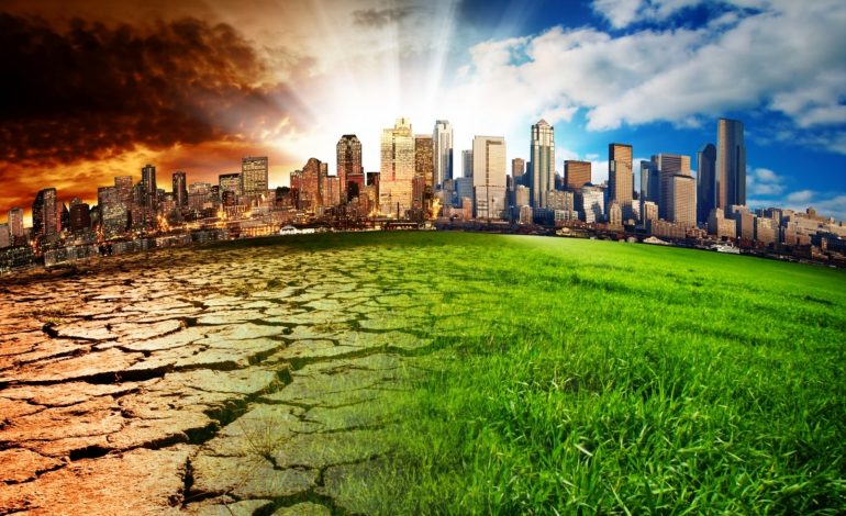 6 mënyra se si ngrohja globale mund të dëmtojë seriozisht shëndetin tuaj