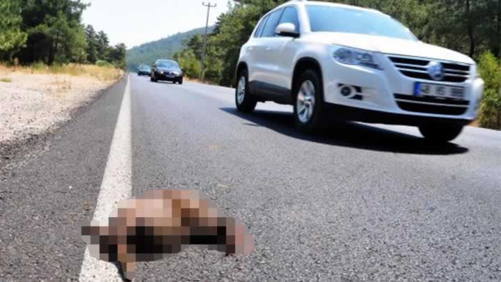 Makina përplas kalimtaren në Elbasan, e dërgojnë me urgjencë në spital