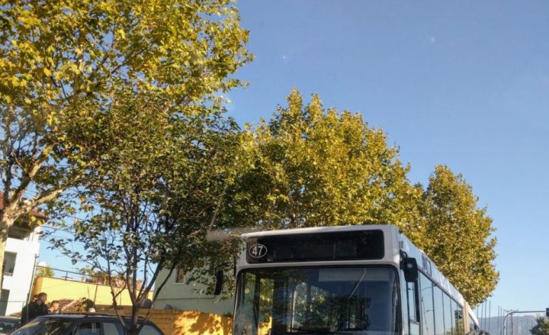 SKANDAL në Tiranë/ Autobusi i Tiranës së Re përplas gjyshen me nipin
