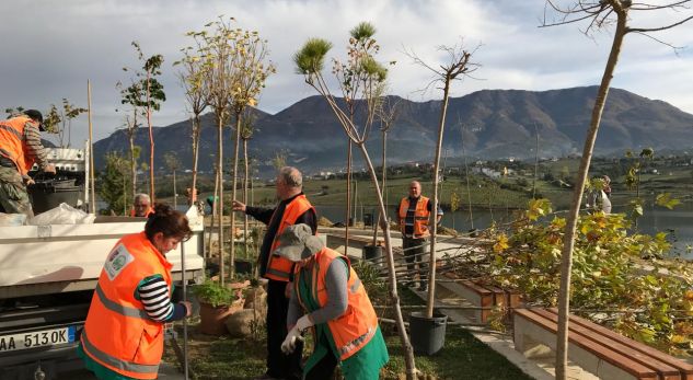 Bashkia e Tiranës zëvendëson pemët e dëmtuara tek Liqeni i Farkës