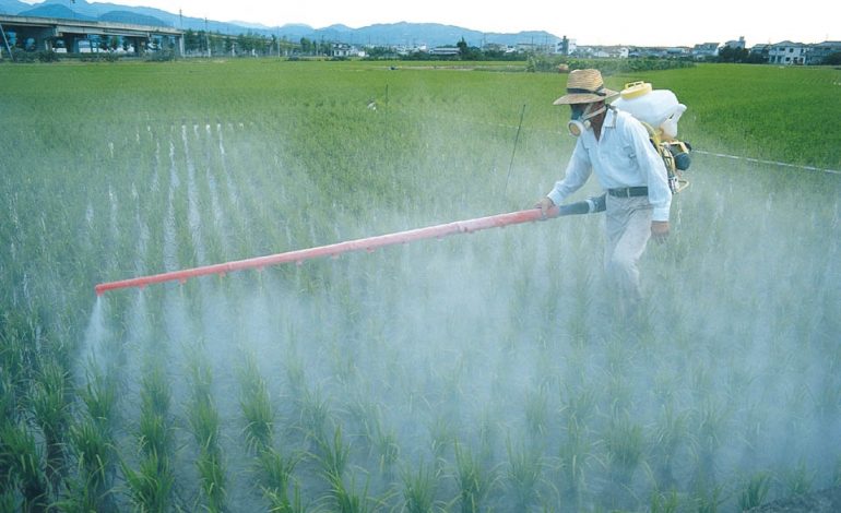 Përdorim i pesticideve në vend, vjen paralajmërimi i Bashkimit Evropian: Bëni kujdes (FOTO)