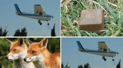 Avionë të vegjël do fluturojnë mbi Shqipëri për dy javë, zbuloni arsyen