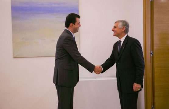 Basha “ankohet” tek zv/ministri austriak: BE nuk mund ta injorojë problematikën në Shqipëri
