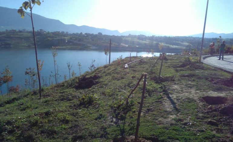 Skandal/ Dëmtohen pemët gjatë natës në liqenin e Farkës