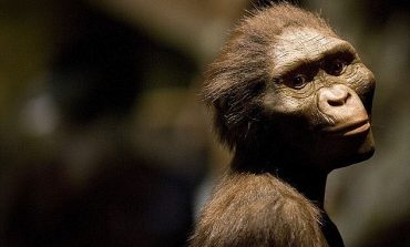 Evoluimi/ Ja si dukeshin njerëzit 1.5 milionë vjet më parë