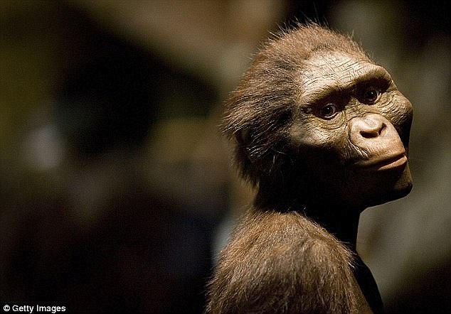 Evoluimi/ Ja si dukeshin njerëzit 1.5 milionë vjet më parë