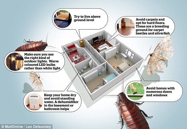 5 mënyra si ti mbani larg shtëpisë të gjitha llojet e insekteve