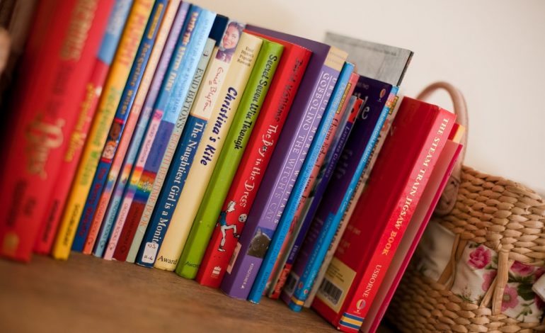 Ja kush janë librat e duhur për fëmijët 2-3 vjeçar