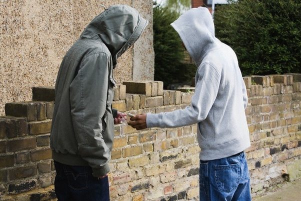 Shokon kryeprokurori i Rotterdamit/ Shqiptarët zotër të drogës në Holandë