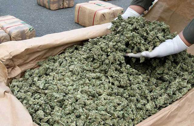 Makinën plot me marijuanë, si u ‘maskua’ policia për të kapur shqiptarin