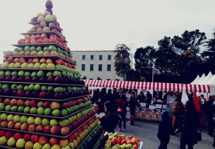 Videot/ E mbani mend ç’i ndodhi tortës për 100-vjetorin e Pavarësisë? Ja fati i mollëve sot në Panairin e Bujqësisë