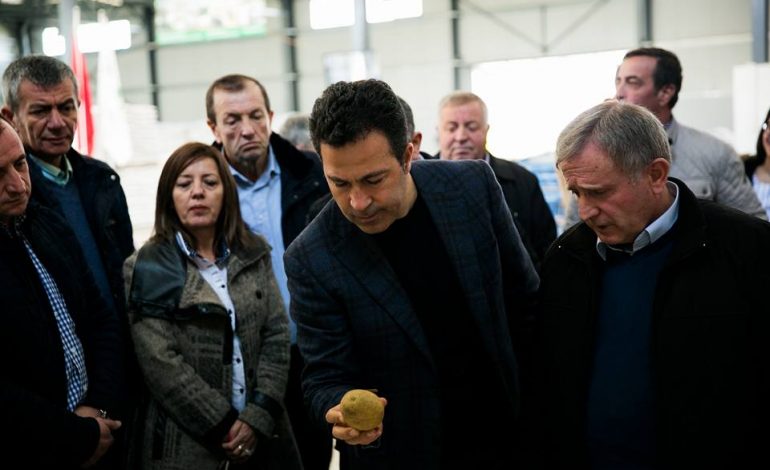 FOTOT/ NIKO PELESHI, ose “patatja është edhe bukë, edhe gjellë”, në versionin kapitalist…