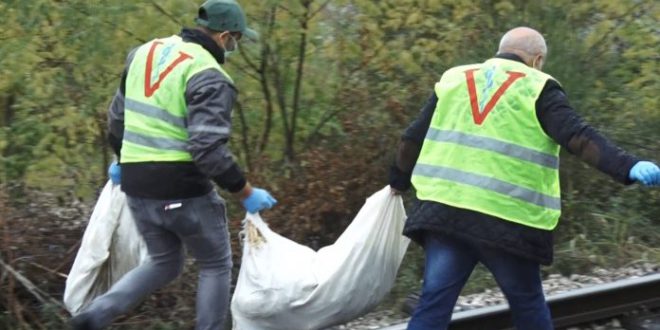 Skandal në Elbasan-Peqin, hidhen thasët me pulat e ngordhura në rrugë
