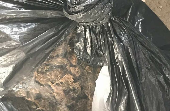 Aksion antidrogë në Tiranë, arrestohen 3 vetë, mes tyre një femër (EMRA)