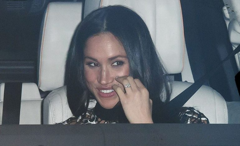 FOTO/ Momenti kur Meghan Markle u njoh me “fisin”. Largohet nga festa shumë e…