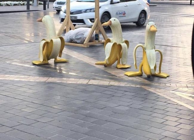 FOTOT/ Këto janë shpikjet që do ju bëjnë të thoni… “Po ku i ka shkuar mendja”?!