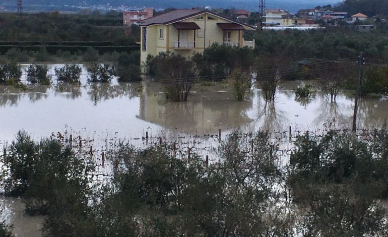 VLORE/ Çahen argjinaturat e Vjosës, përmbyten disa fshatra dhe 20 persona të evakuuar (FOTO)