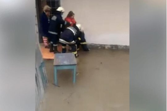 Prekëse/ Vajza e vogël nuk pranon të evakuohet nga shtëpia pa marrë dhe macen