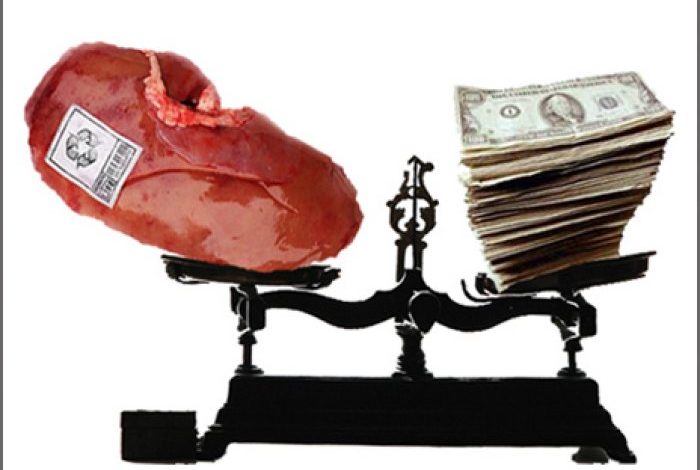 Sa kushtojnë organet e trupit tonë? Çmimet e secilit prej tyre do ju befasojnë