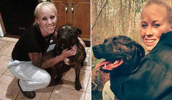 SHBA/ Qeni pitbull sulmon padronen e tij. Vdes 22 vjeçarja (FOTO)