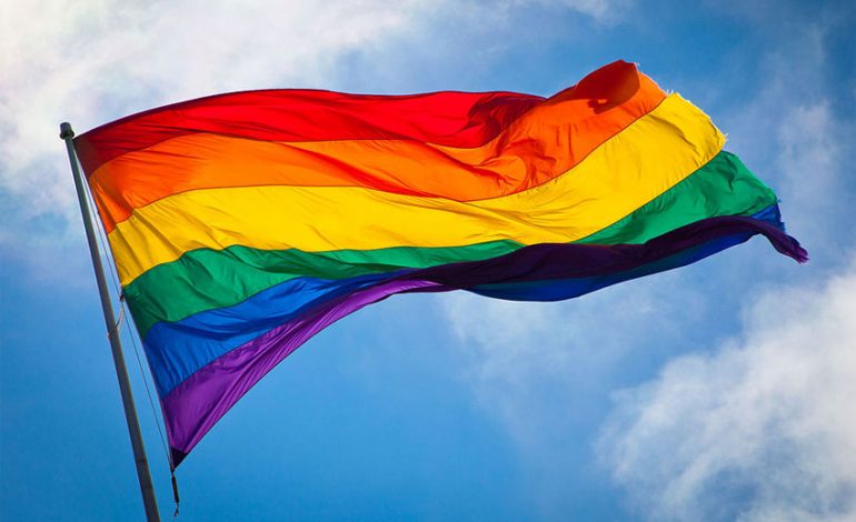 DASHURIA TRIUMFON/ Austria jep OK për martesat gay