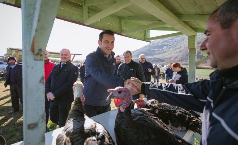 Veliaj: Blini gjelat “firmato” të Baldushkut, ndihmojmë ekonominë lokale (FOTO)