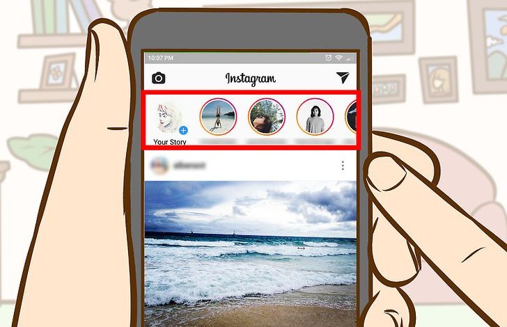 Sekreti i të qenit të famshëm në Instagram. Si të krijoni një profil me shumë ndjekës