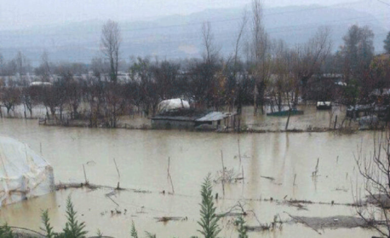 PËRKEQËSIMI I MOTIT/ ‘Po vdesim për bukë’, banorët e Fushë Krujës japin alarmin por …