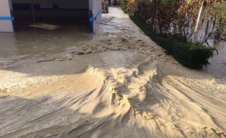 PËRKEQËSIMI I MOTIT/ Situata emergjente në Vjosë, uji në banesa arrin lartësinë 2 metër