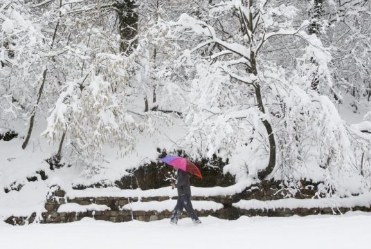 Bashkë me muajin dhjetor vijnë edhe disa fakte që nuk i dinim për stinën e dimrit (LISTA E TYRE)