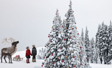 Për inat të dëborës që s’ra, ti mund t’i bësh Krishtlindjet të bardha
