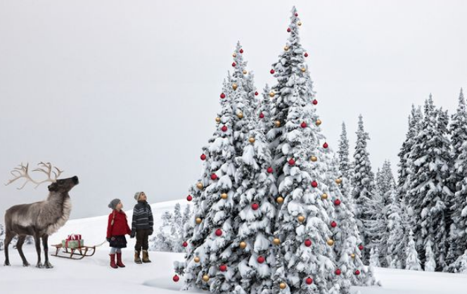 Për inat të dëborës që s’ra, ti mund t’i bësh Krishtlindjet të bardha