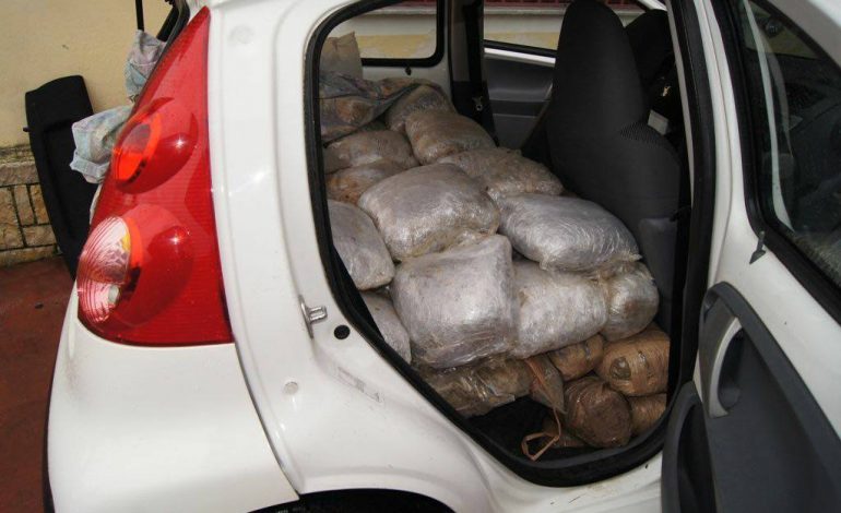 Droga drejt Greqisë/ Kapen 234 kg marijuanë në Janinë, arrestohen 3 shqiptarë