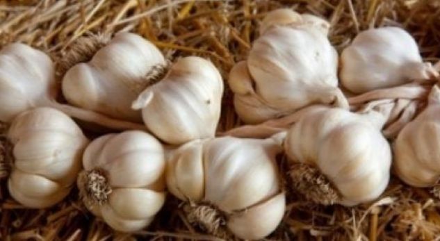 Pesë llojet e njerëzve që nuk duhet të konsumojnë hudhra