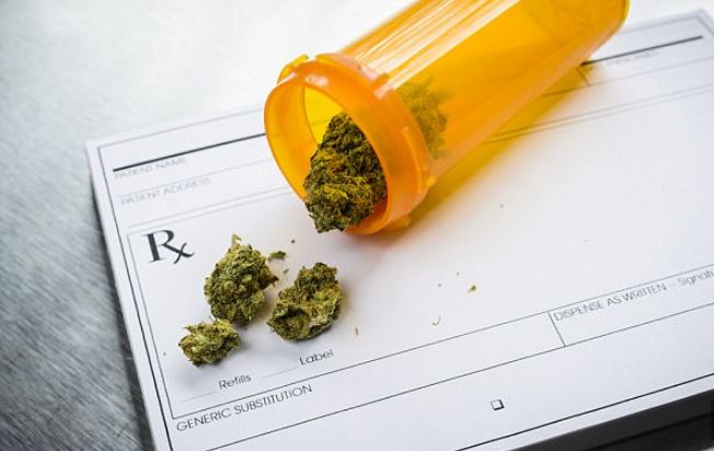 Marijuana mjekësore nuk ka rreziqe shëndetësore, OBSH: Nuk duhet t’u mohohet pacientëve