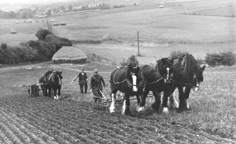 STUDIMI/ Zbulohet origjina e pabarazisë sociale. Si mbërritëm tek multimiliarderët e sotëm