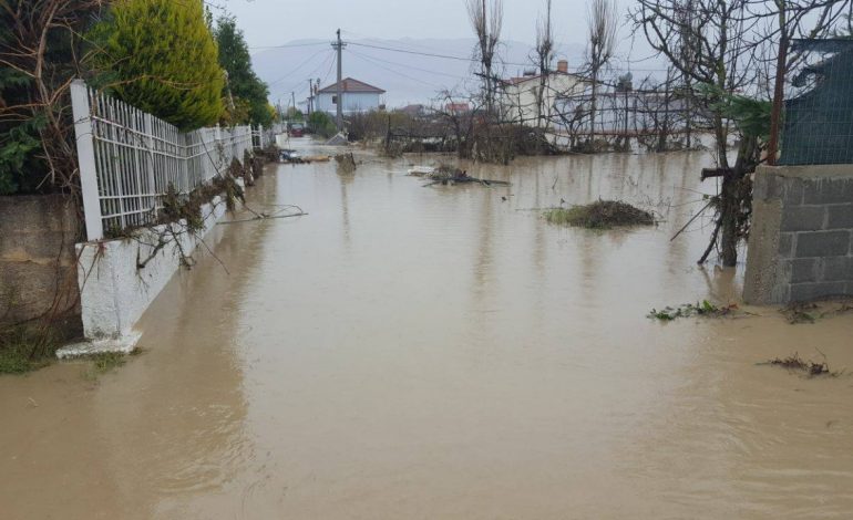 Dramatike në Kurbin, qindra bagëti të ngordhura, izolohet fshati Gotull