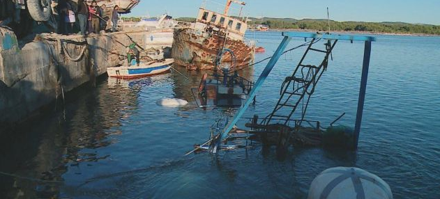 Triporti në Vlorë jashtë kontrollit, administratori: Mbizotëron më i forti