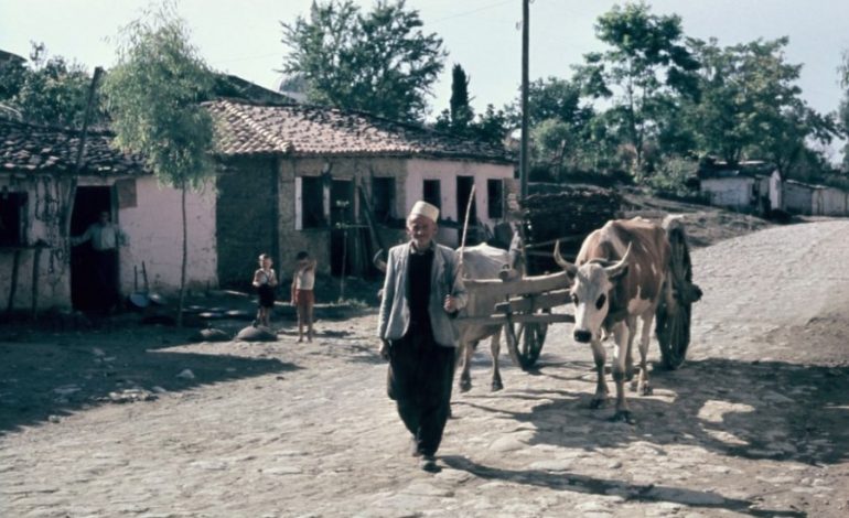 Shqipëria në vitet e para pas çlirimit, fotografi të rralla