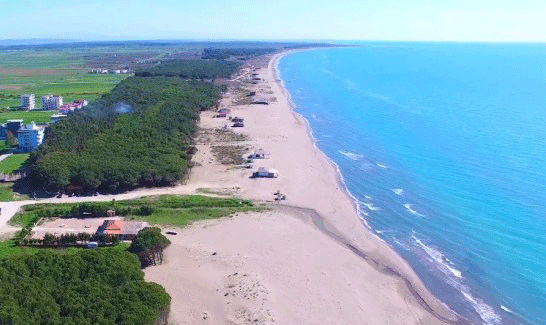 Tjetërsuan 36 hektarë tokë në Spille, jepet masa për 10 zyrtarët e arrestuar