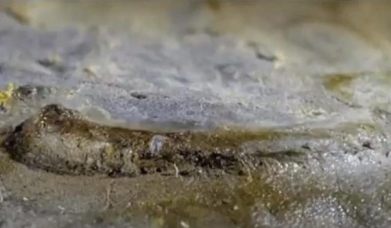 (VIDEO) Këtu gjendet zbulimi më i madh i shkencëtarëve deri më tani