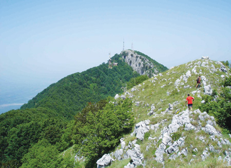 SEZONI TURISTIK/ Rama “ironi” me skeptikët: Të huajt i kemi droguar ne si qeveri që e pëlqejnë vendin tonë