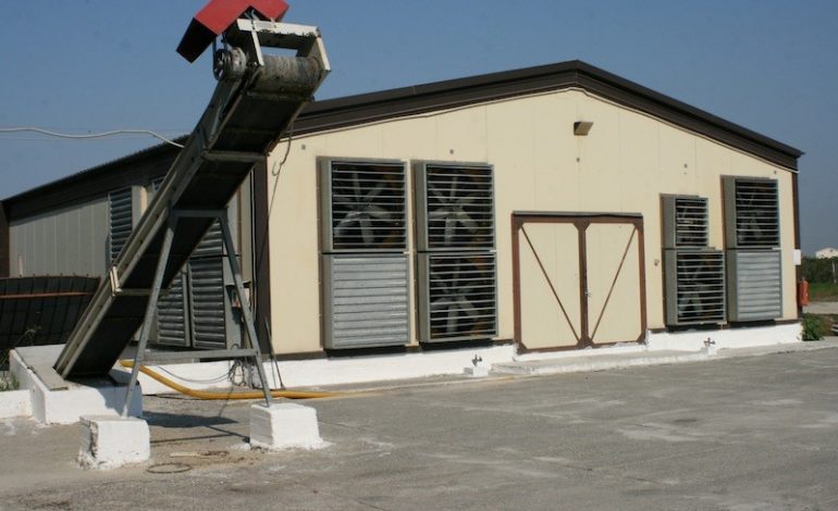 Gjendet i pajetë pronari i pularisë në Korçë, policia: Ja për çfarë dyshojmë